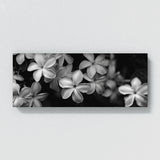 Jasmine Eternal Elegance 19