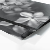 Jasmine Eternal Elegance 19