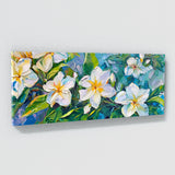 Jasmine Radiance 13
