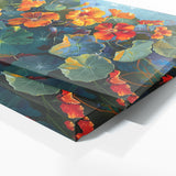 Nasturtium Untamed Bloom 3
