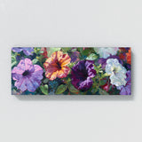 Petunia Bloom 1