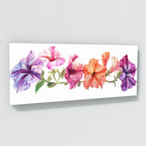 Petunia Dance 17