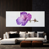 Petunia Ephemeral Elegance 11
