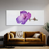 Petunia Ephemeral Elegance 11