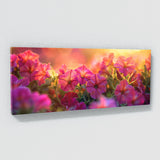 Petunia Golden Glow 30