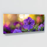 Petunia Isolated Beauty 33