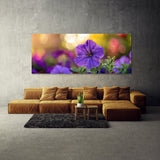 Petunia Isolated Beauty 33