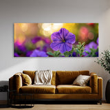 Petunia Isolated Beauty 33