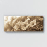 Petunia Sepia Nostalgia 32