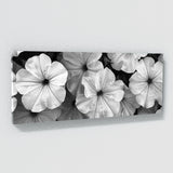 Petunia Timeless Elegance 29