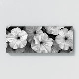 Petunia Timeless Elegance 29