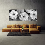 Petunia Timeless Elegance 29