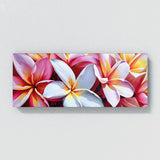 Plumeria Bold Contrast 31