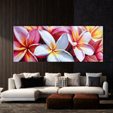 Plumeria Bold Contrast 31