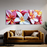 Plumeria Bold Contrast 31