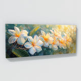 Plumeria Radiant Sunrise 10