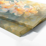 Plumeria Radiant Sunrise 10