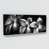 Plumeria Shadowed Elegance 26