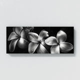Plumeria Shadowed Elegance 26