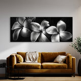 Plumeria Shadowed Elegance 26