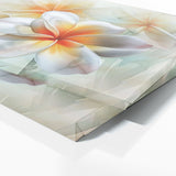 Plumeria Swaying 13