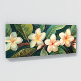 Plumeria Timeless Elegance 6
