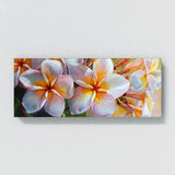 Plumeria Tropical Bloom 7