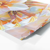 Plumeria Tropical Bloom 7