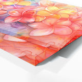 Plumeria Vibrant Bliss 15