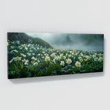 Primrose Enigma 74