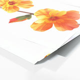 Primrose Essence 76