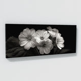Primrose Noir Elegance Blossoms 73