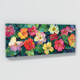 Primrose Radiance 67