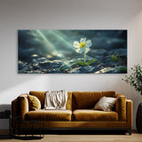 Primrose Radiance 71