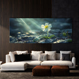 Primrose Radiance 71