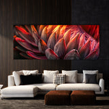 Protea Bloom Closeup 23