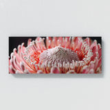 Protea Blossom Detail 27