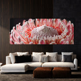 Protea Blossom Detail 27