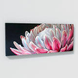 Protea Blossom Radiance 4