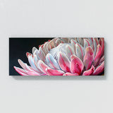 Protea Blossom Radiance 4