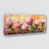 Protea Color Dance 18