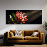 Protea Drama 22