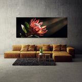 Protea Drama 22