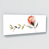 Protea Elegant Simplicity 11