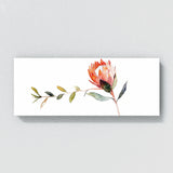 Protea Elegant Simplicity 11