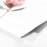 Protea Elegant Simplicity 11