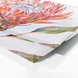 Protea Grace 10