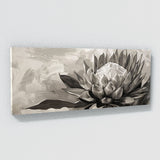 Protea Monochrome Elegance 34