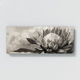 Protea Monochrome Elegance 34