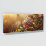Protea Morning Dream 25